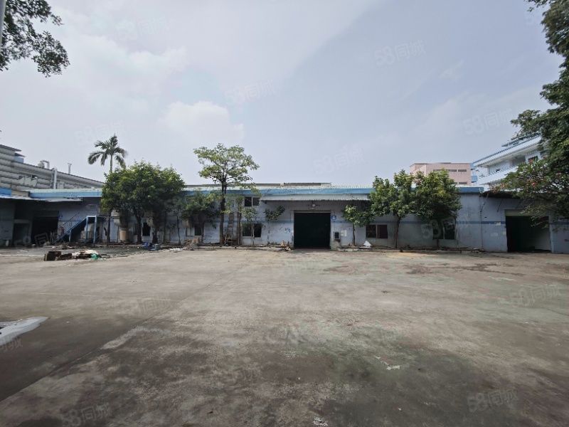 (出租) 大岭山新出独门独院厂房出租 价格可面议 随时可看 配套齐全