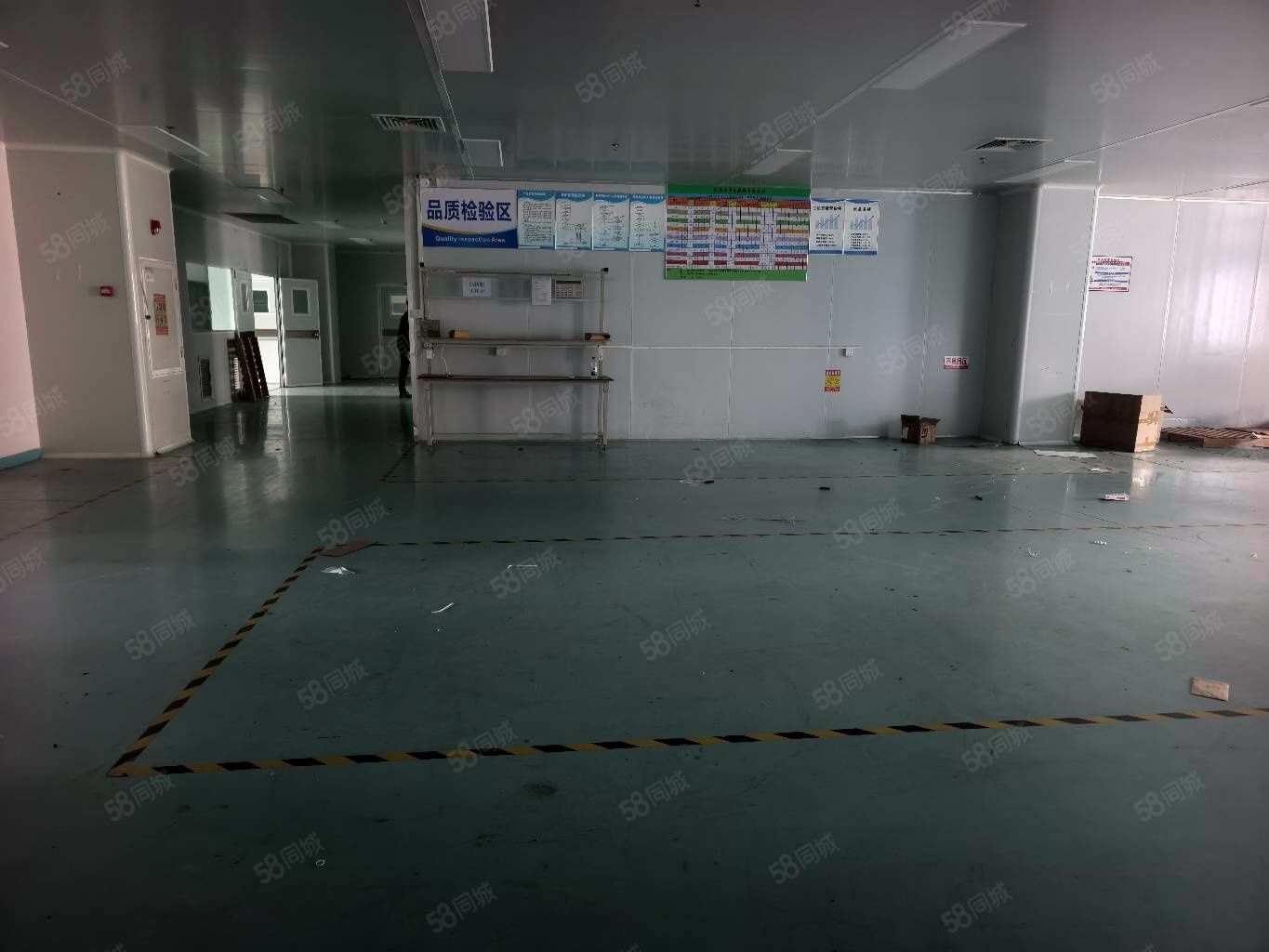 (出租) 大岭山镇现成无尘车间,豪华精装 水电齐全,工业用地可办环评
