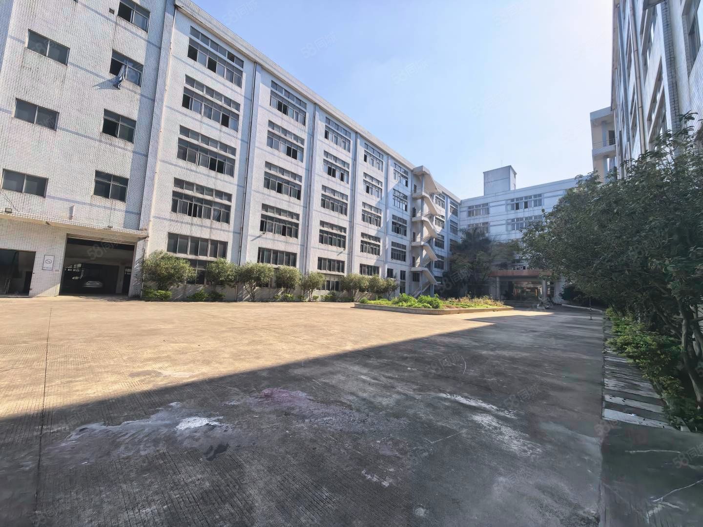 (出租) 大岭山大塘园区8元起租原房东直租水电自己交大小可分租空地大