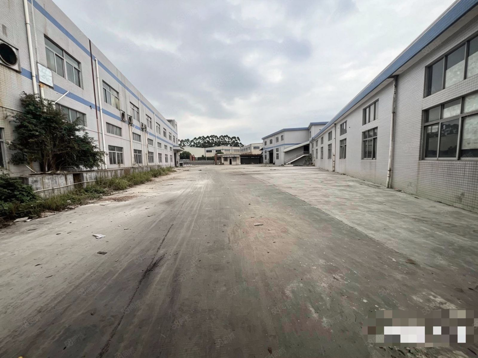 (出租) 大岭山杨屋新出原房东厂房出租 价格仅需15块起 随时可看可谈