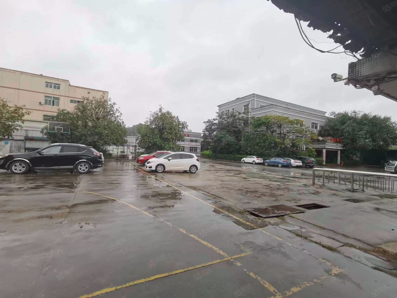 (出租) 大岭山鸡翅岭，家具厂分租，独栋钢构2000平，空地大工业用地