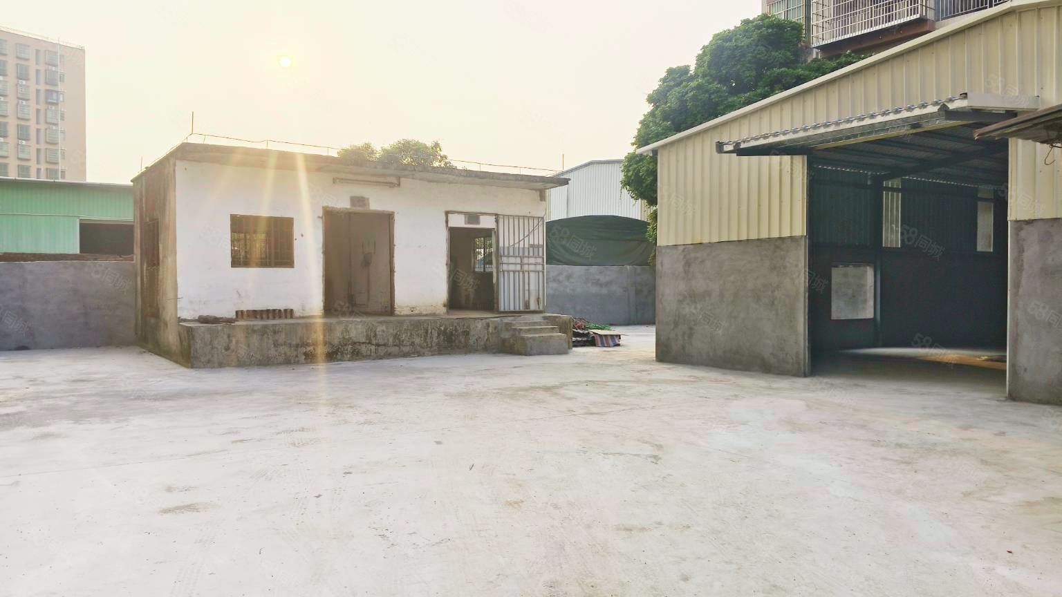 (出租) （小独院单层300）大岭山全新新盖独门独院带空地200方出租