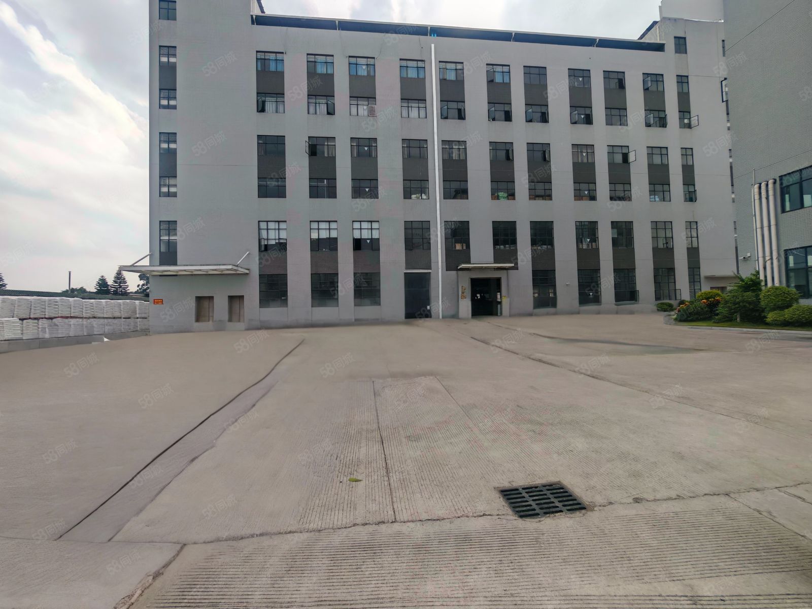 (出租) 大岭山全新红本标准厂房出来1000平起分租带现成装修停车方便
