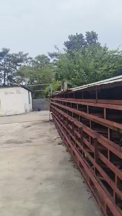 (出租) （空地300出租）大岭山新出水泥空地300方，带院子房屋厕所