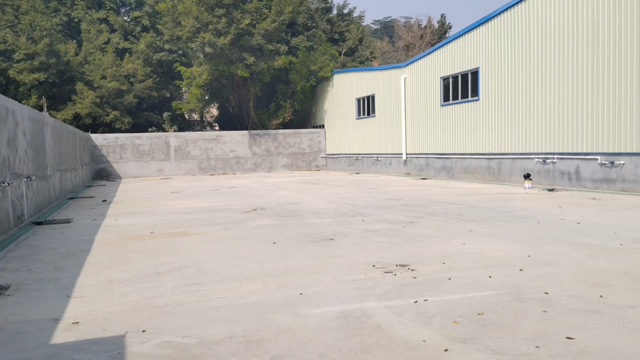 (出租) 凤岗靠观澜独院单一层钢构5000平。可分租