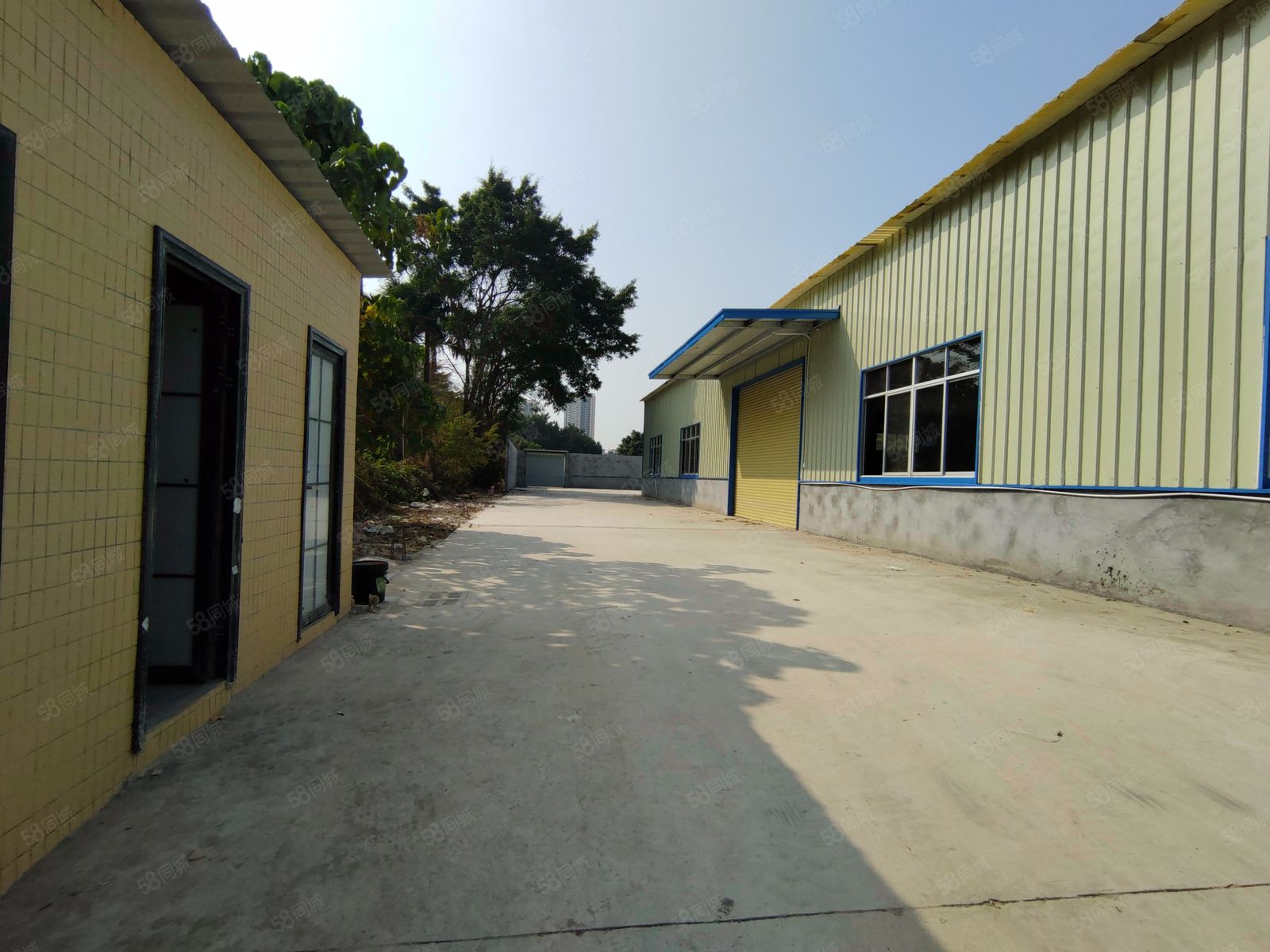 (出租) 凤岗靠观澜独院单一层钢构5000平。可分租