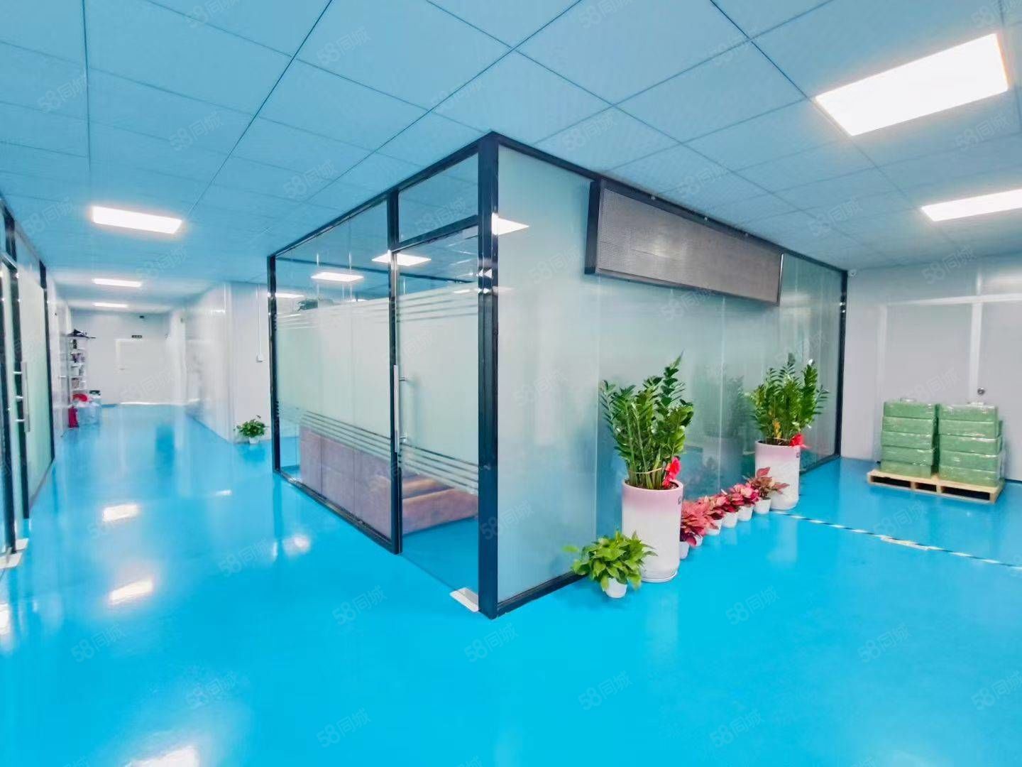 (出租) 凤岗无尘车间租金14元1380平厂房出租不用转让费可随时看房