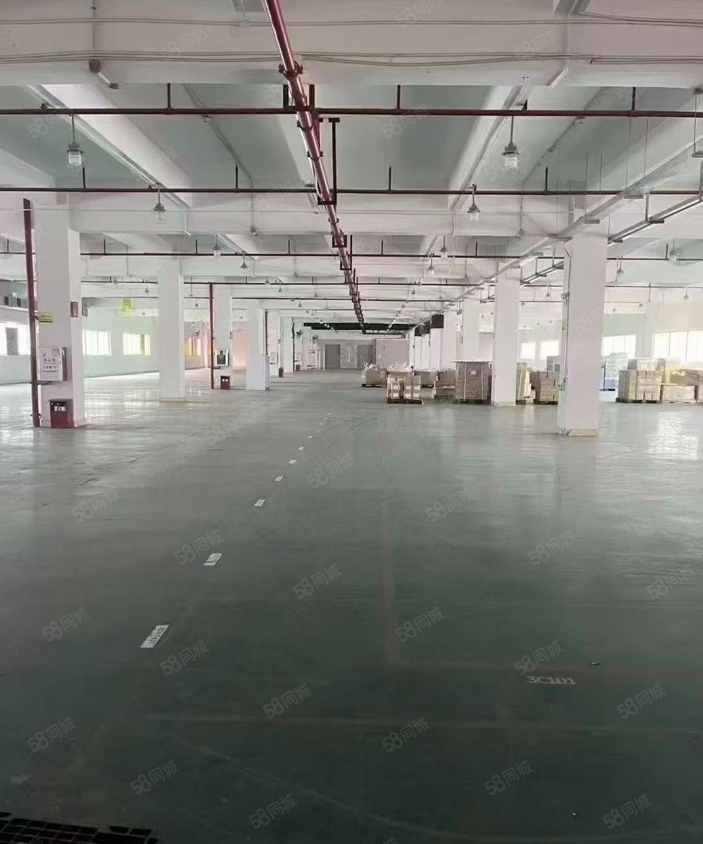 (出租) 凤岗原房东独门独院两栋三层厂房20000平方米低价可分租