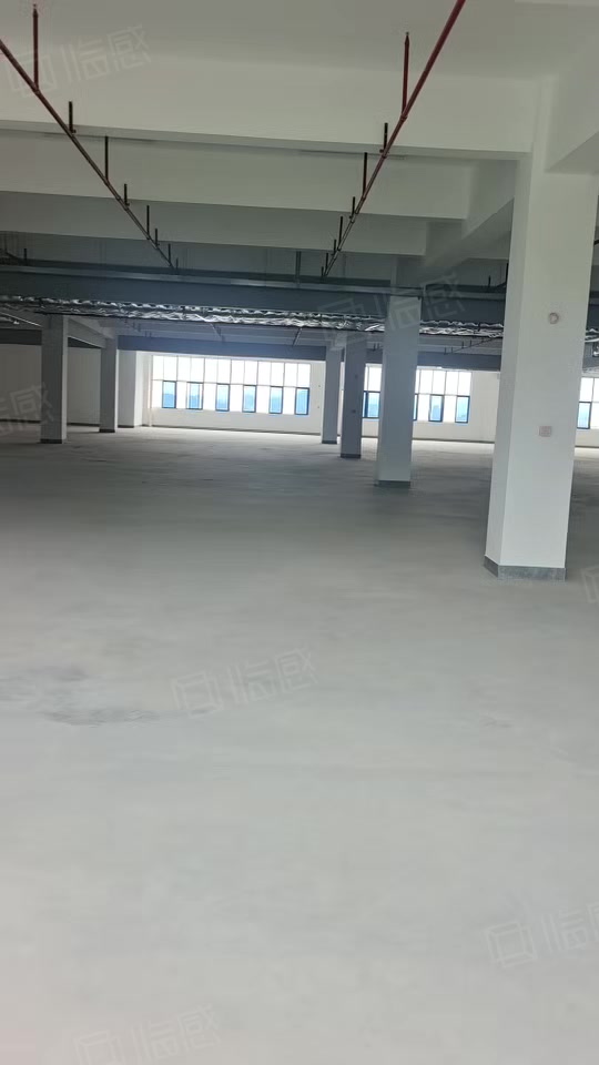 (出租) 凤岗全新厂房出租 适合包装 五金加工 电子组装 电商仓库