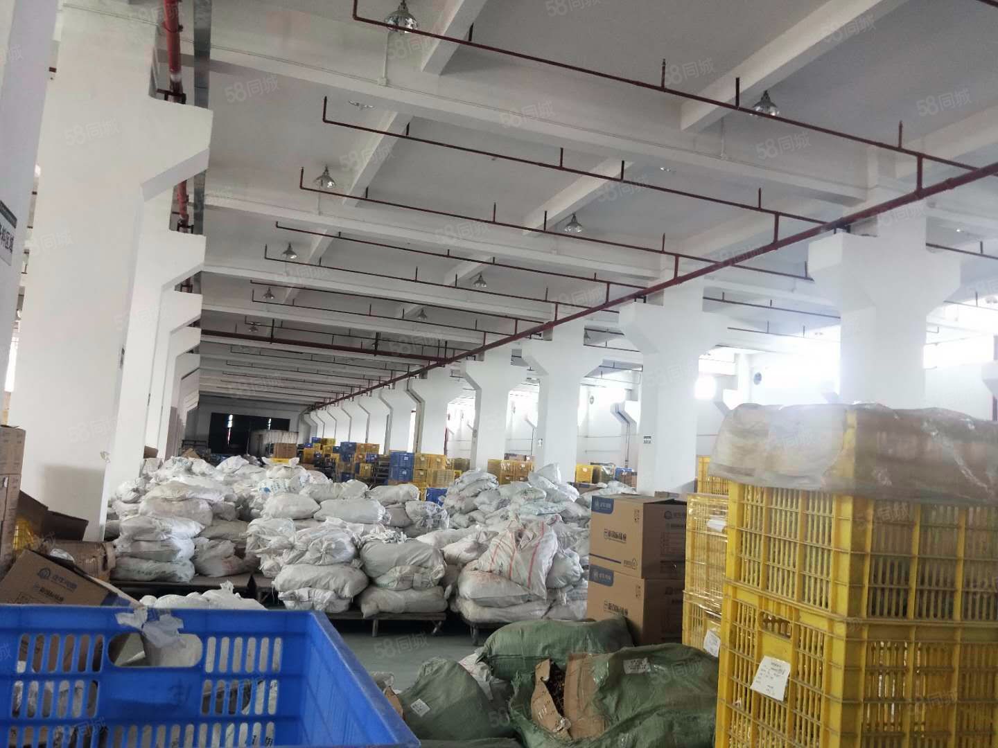 (出租) 大湾区东莞凤岗18万方原房东科技园火热招租大小可分租