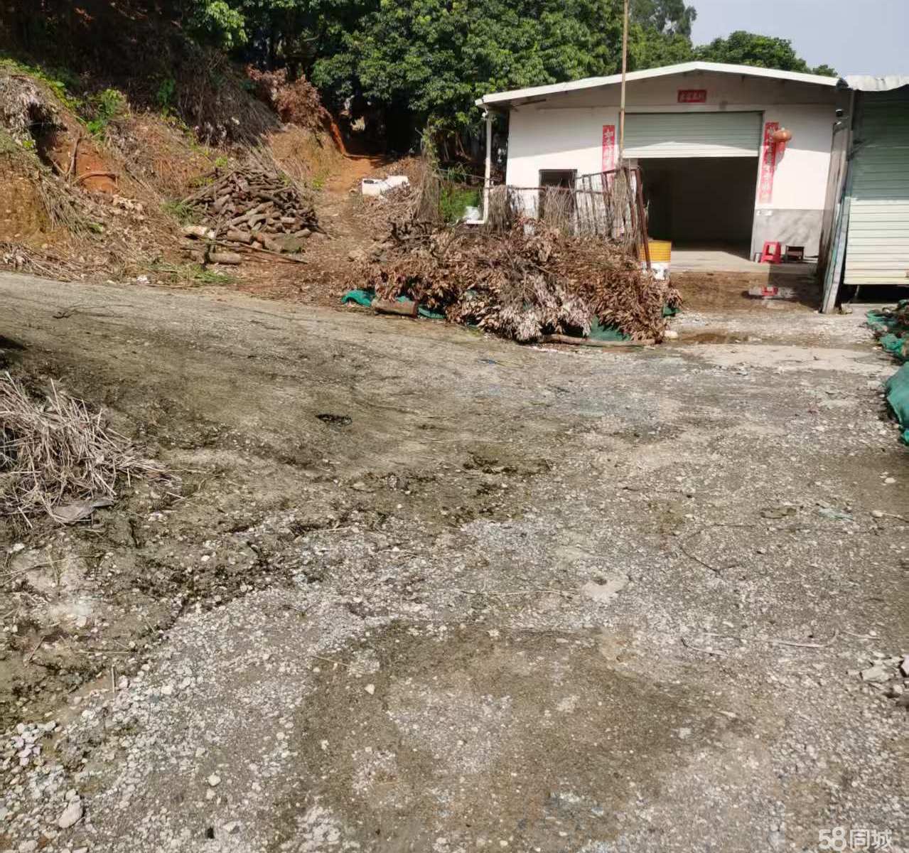 (出租) 碧湖大道小型加工厂出租
