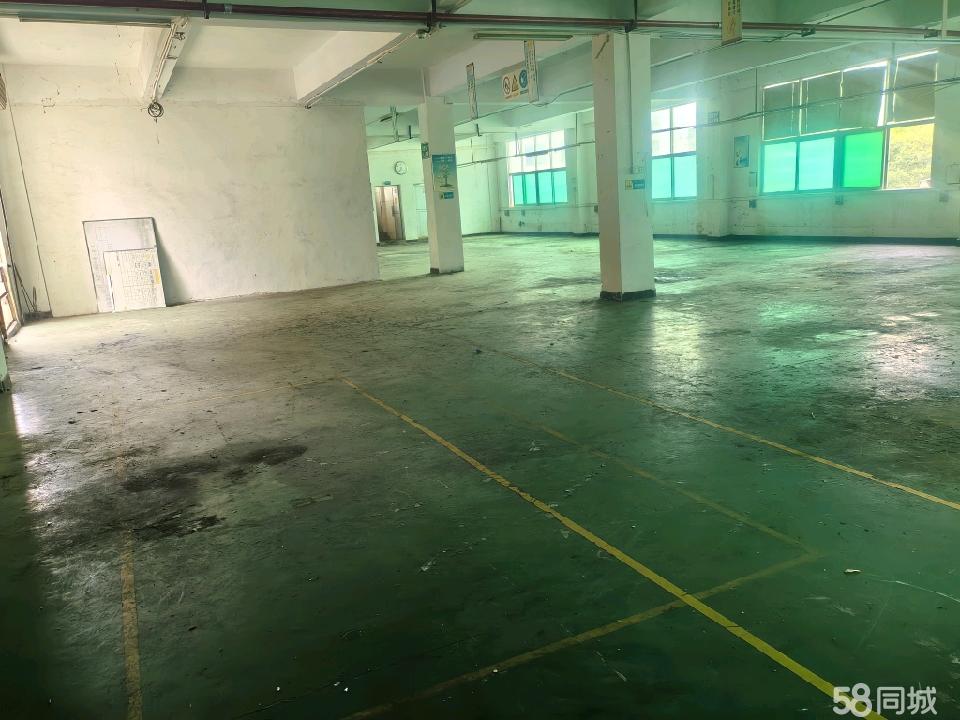 (出租) 二楼标准厂房整层700平方