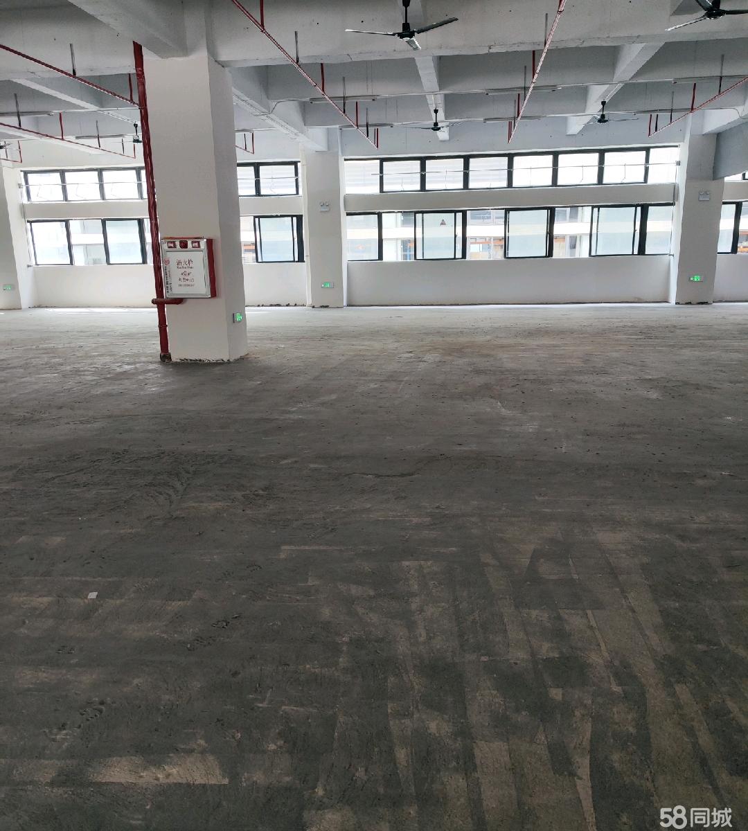(出租) 带办公室，适合做仓库，组装车间，电商直播场地仓库，