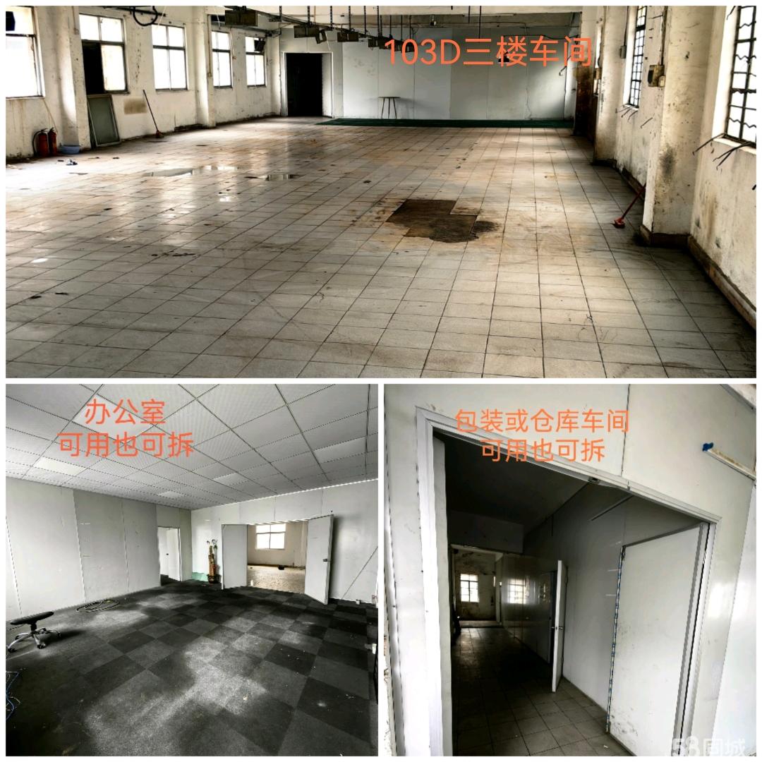 (出租) 独栋厂区总四层分租一楼和三楼