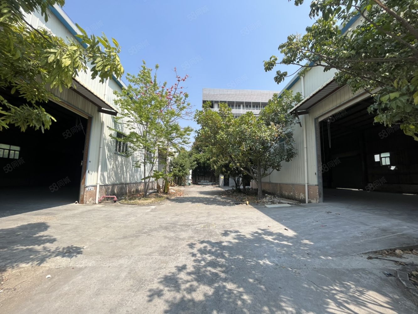 (出租) 宝安福永免租期六个月三千平厂房出租主干道旁交通便利停车免费