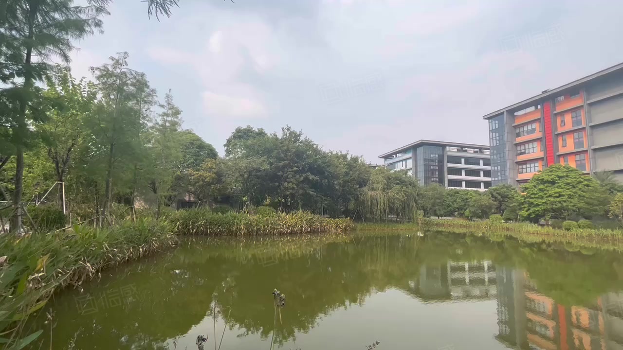 (出租) 福永国资委独栋1万平可分租有补贴无公摊低价出租园区电改5吨货