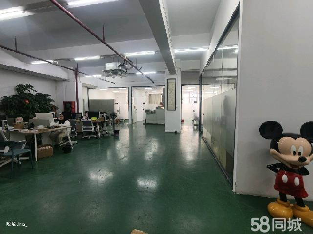 (出租) 精装修房间，房子已经隔好布局，可以随时联系看房