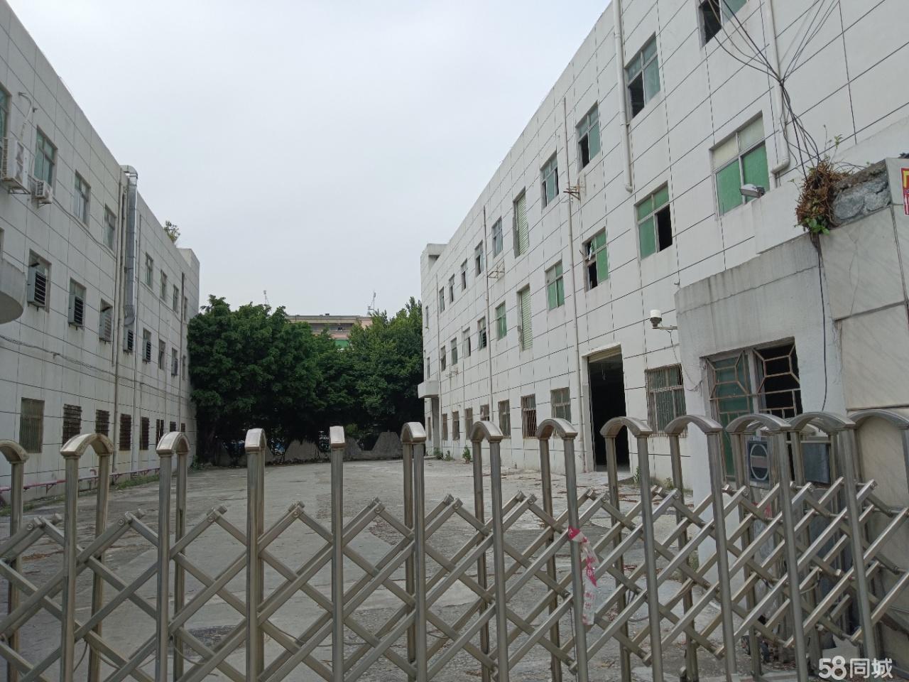 (出租) 福永村委独院厂房出租