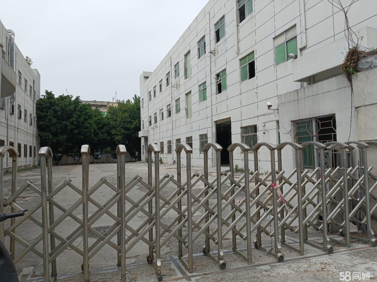 (出租) 福永村委独院厂房出租