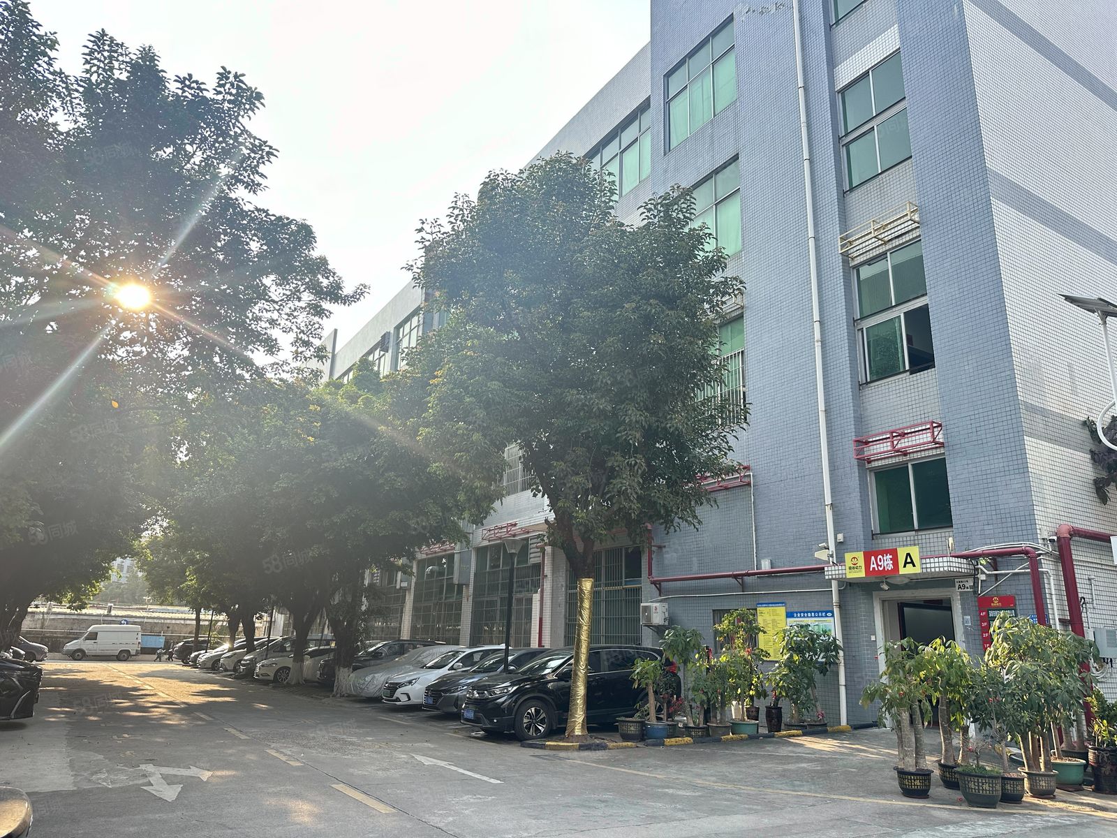 (出租) 观澜原房东500平精装厂房出租前台办公室仓库出租水电齐全