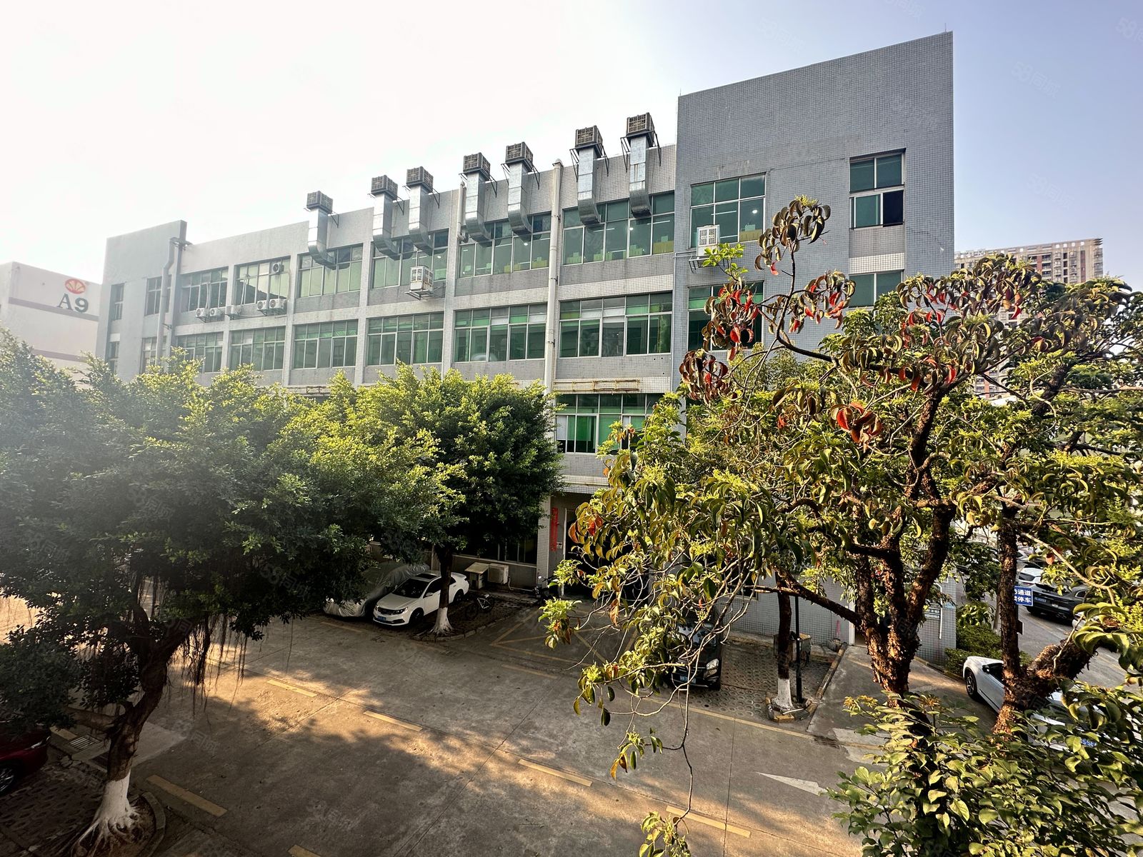 (出租) 观澜原房东500平精装厂房出租前台办公室仓库出租水电齐全