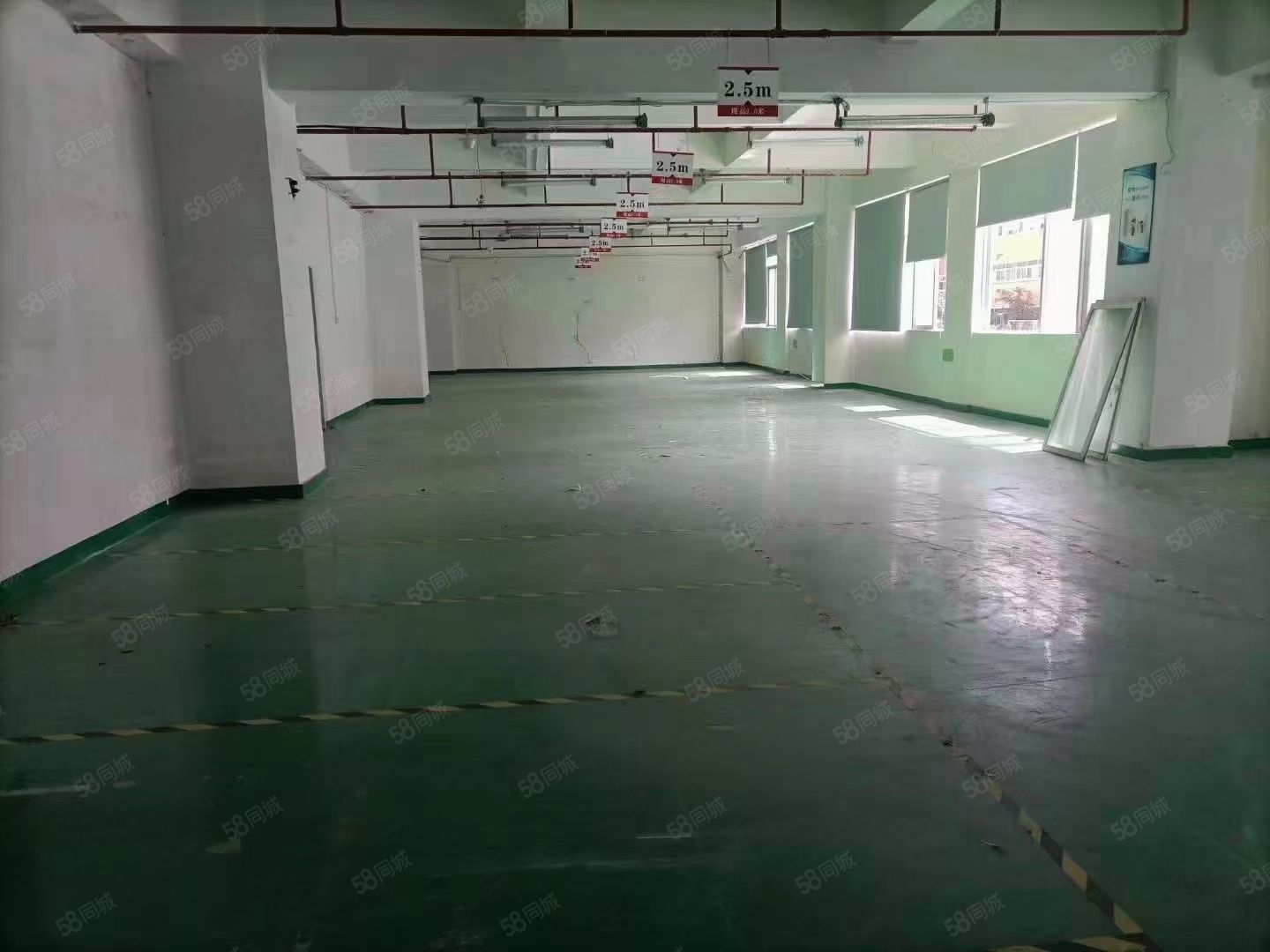 (出租) 龙华观澜精装修 500平厂房,仓库物流,水电到位,随时入住