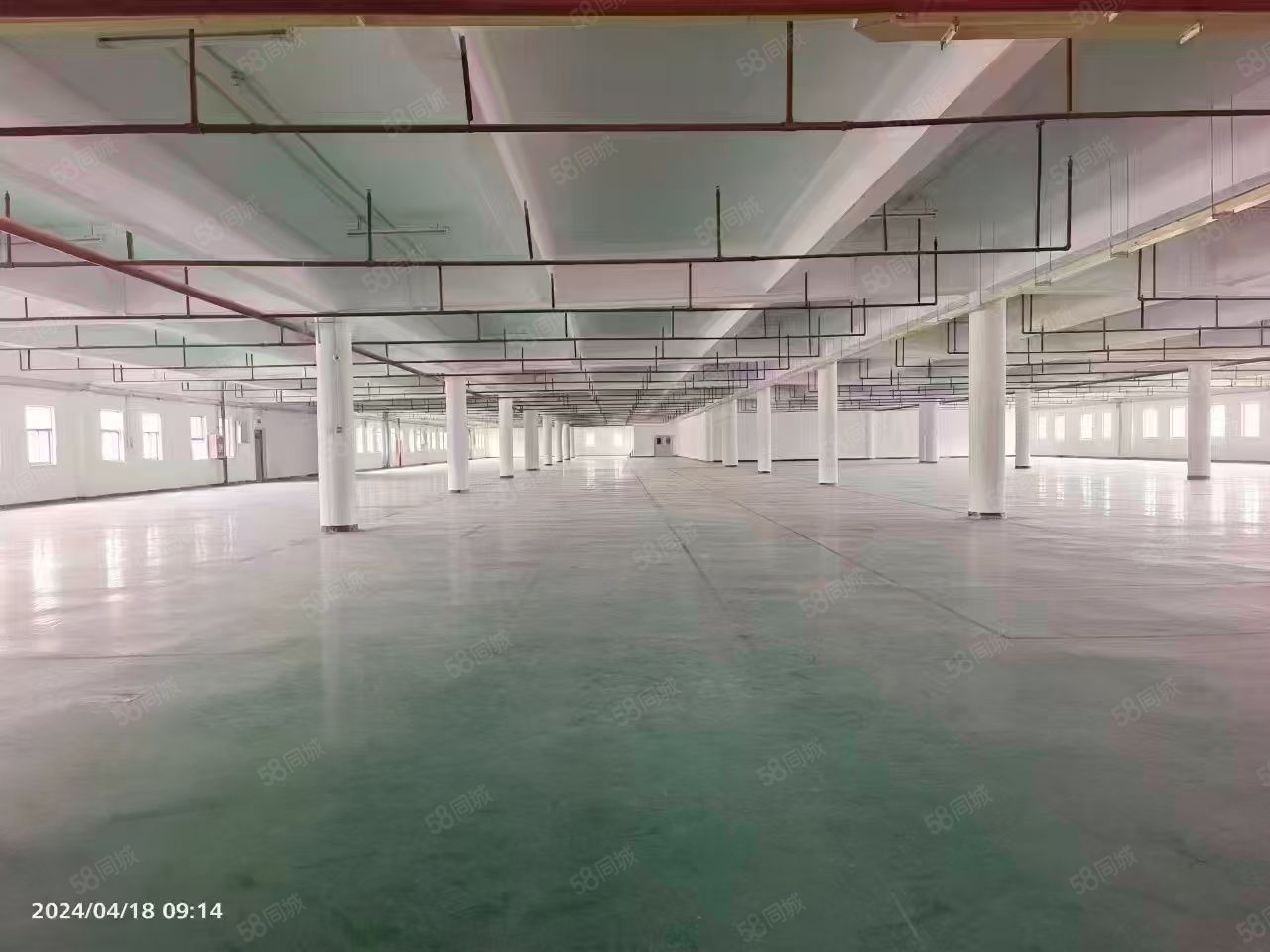 (出租) 龙华区一楼高度8米2000平方超高厂房业主直租