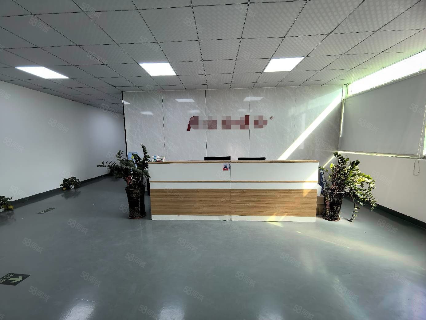 (出租) 观澜章阁原房东红本厂房800平豪华精装修厂房仓库出租