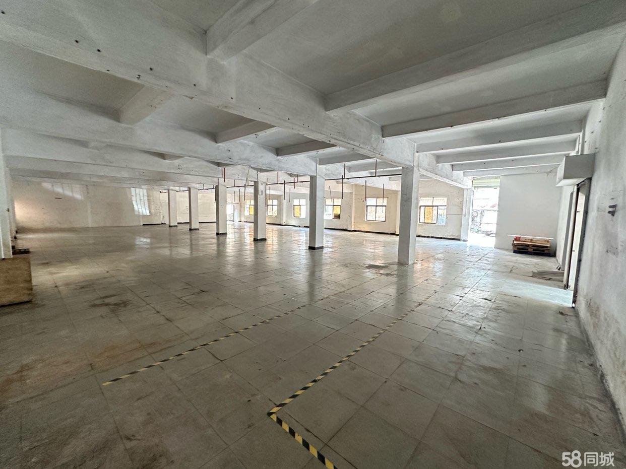 (出租) 观澜大道旁一楼厂房仓库做网上超市兴万达购物广场附近交通便利