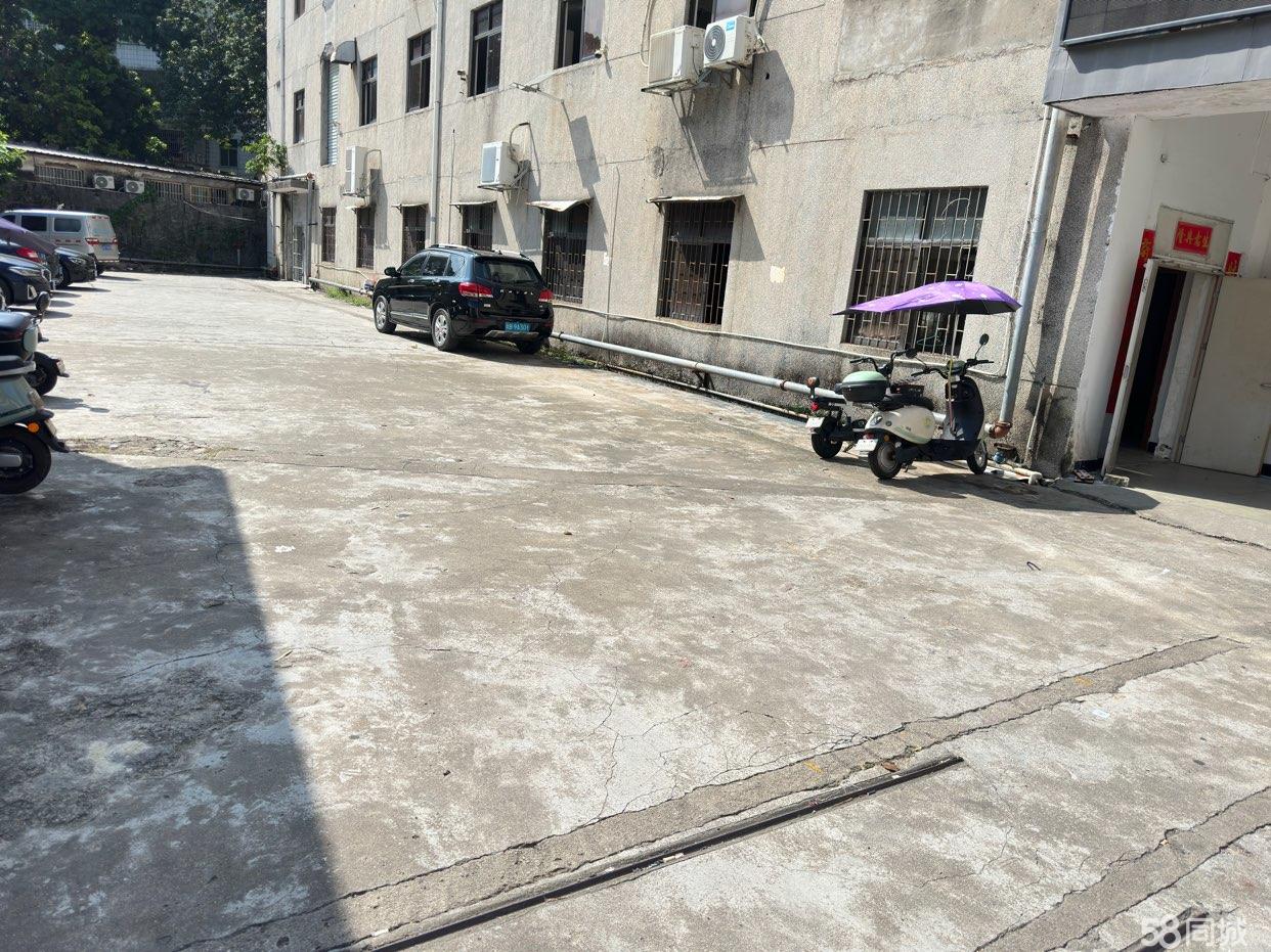 (出租) 观澜大道旁一楼厂房仓库做网上超市兴万达购物广场附近交通便利