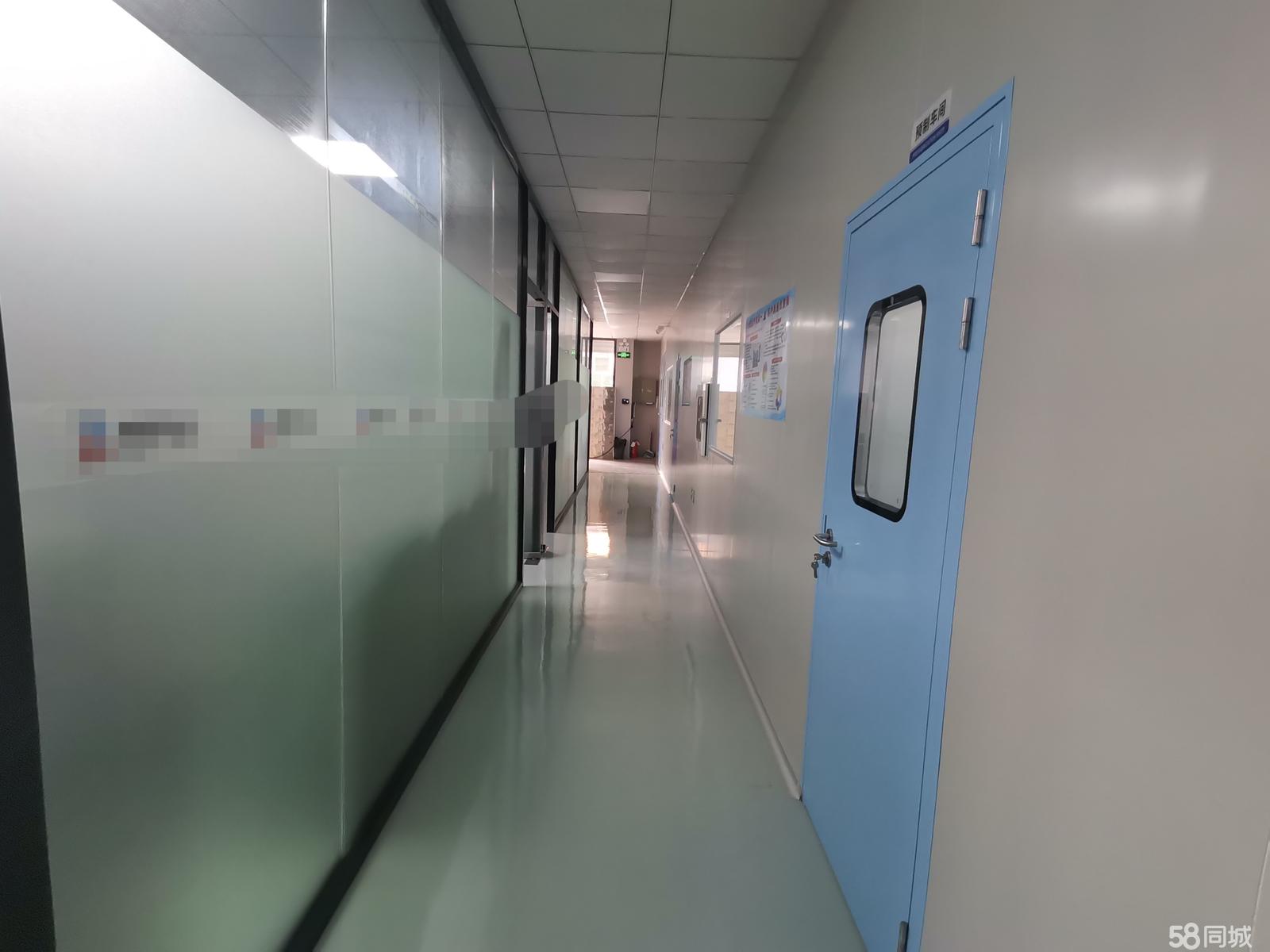 (出租) 观澜主干道边上地铁口旁1楼无尘车间厂房离高速路口近