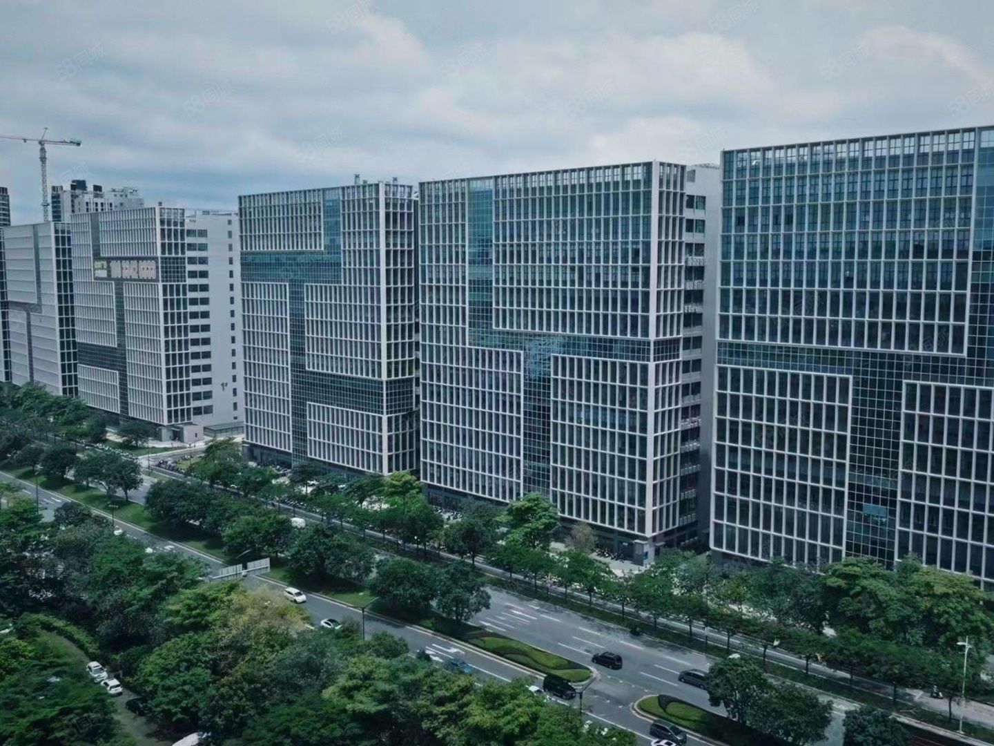 (出租) 光明公明国资委自建全新红本厂房3200平可分,可做电子烟