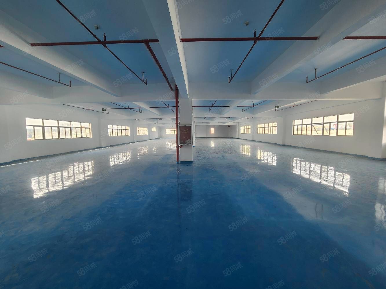 (出租) 光明凤凰长圳玉塘精装修厂房低价出租玉律田寮合水口楼村上村下村
