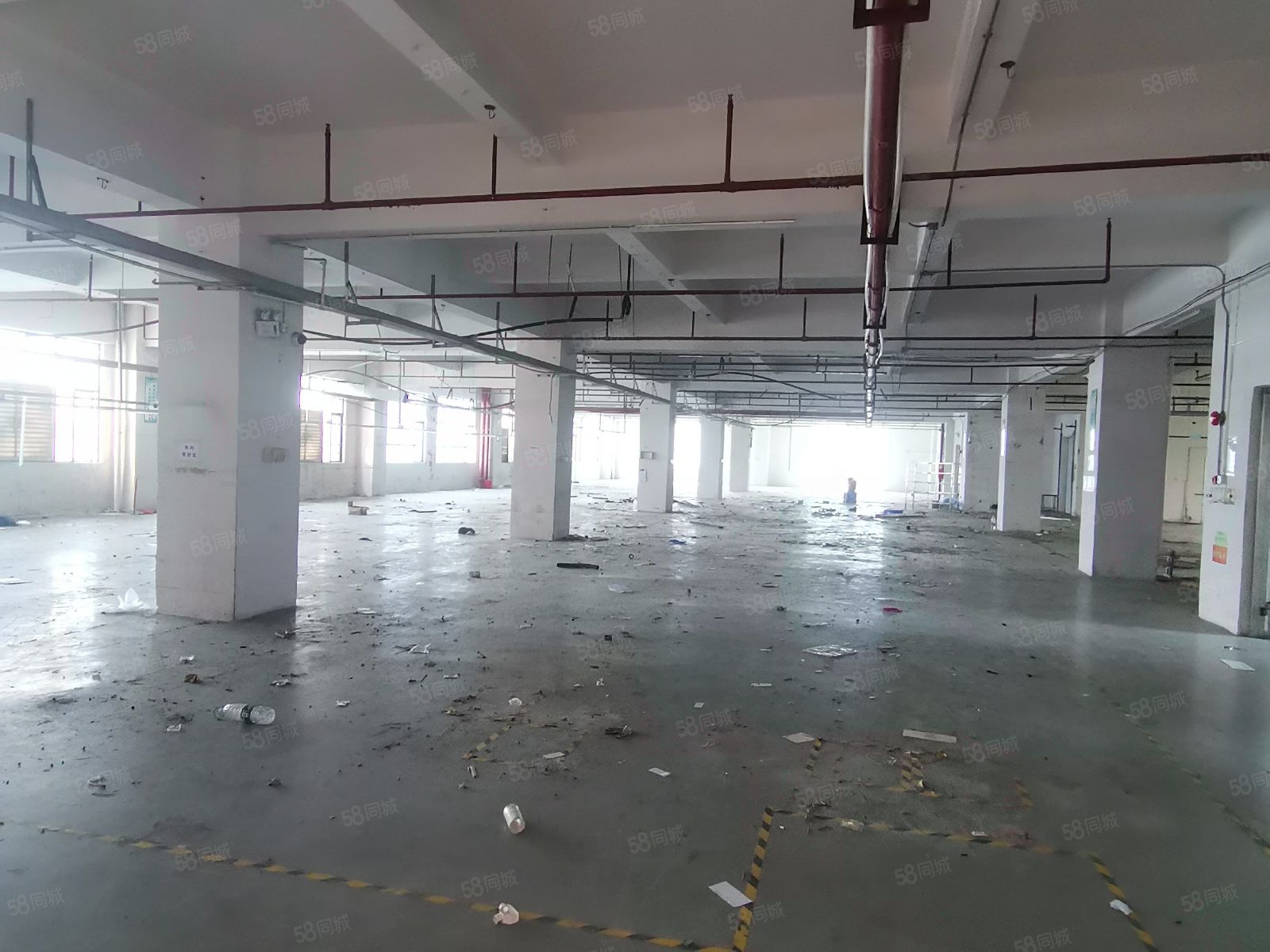 (出租) 光明地铁口深澜产业园全新翻新厂房光明小面积厂房150方起租