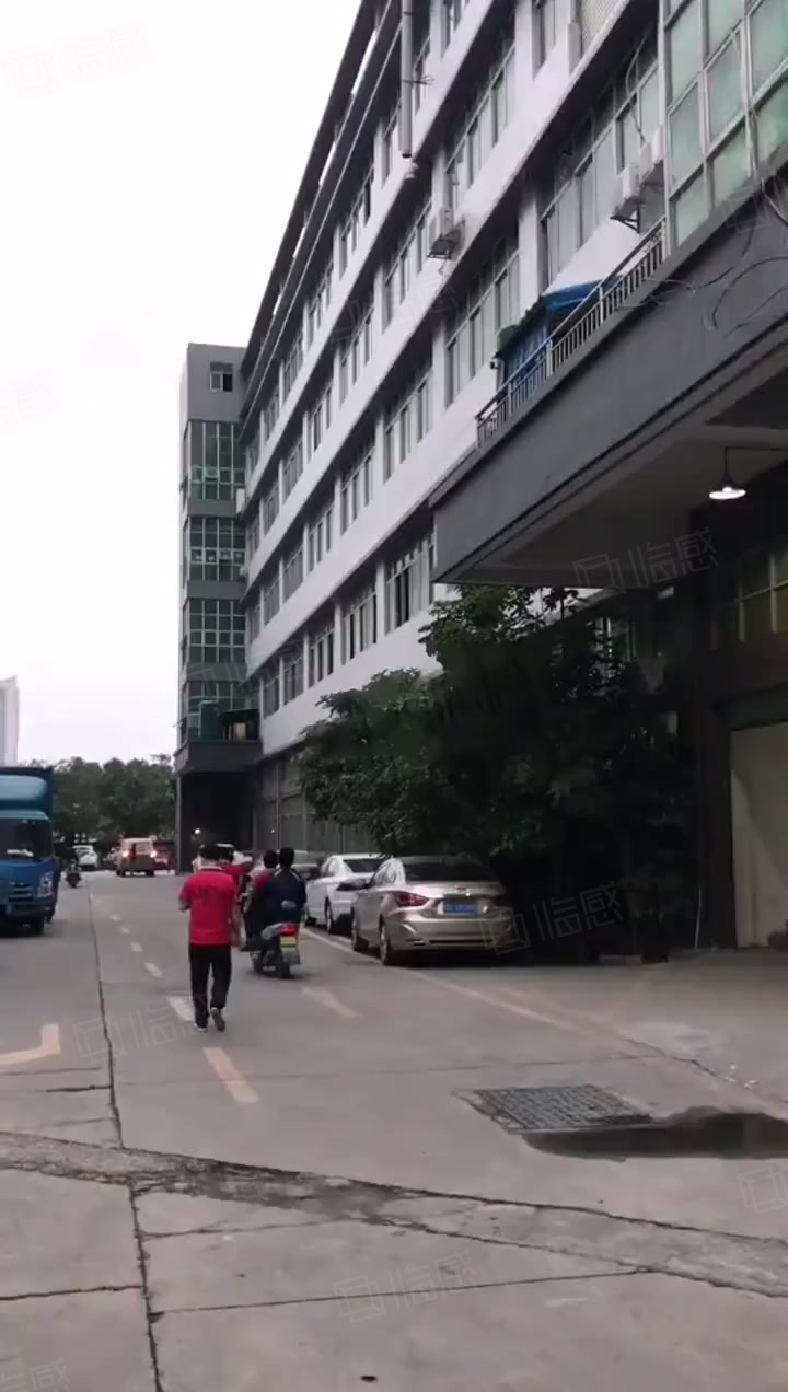 (出租) 全新地平漆,室精装500平,园区形象好,空地大,好停车