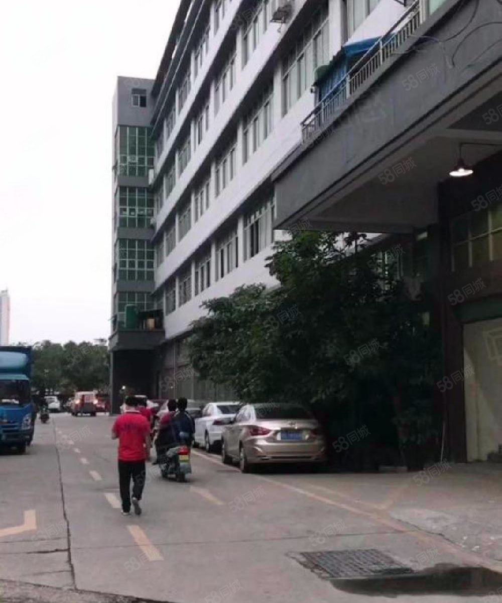 (出租) 全新地平漆,室精装500平,园区形象好,空地大,好停车