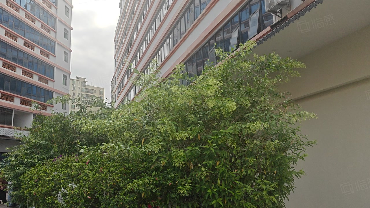 (出租) 光明地铁站零距离150起租-2000平精装厂房出租仓库出租