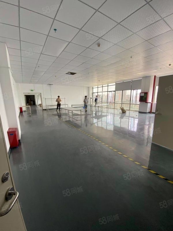(出租) 光明楼上精装修厂房1500平米出租主干道成熟工业区三吨货梯