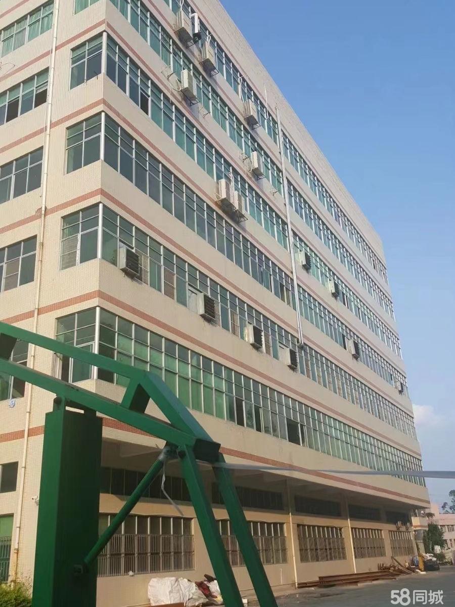 (出租) 出租厂房/光明一手厂房招租