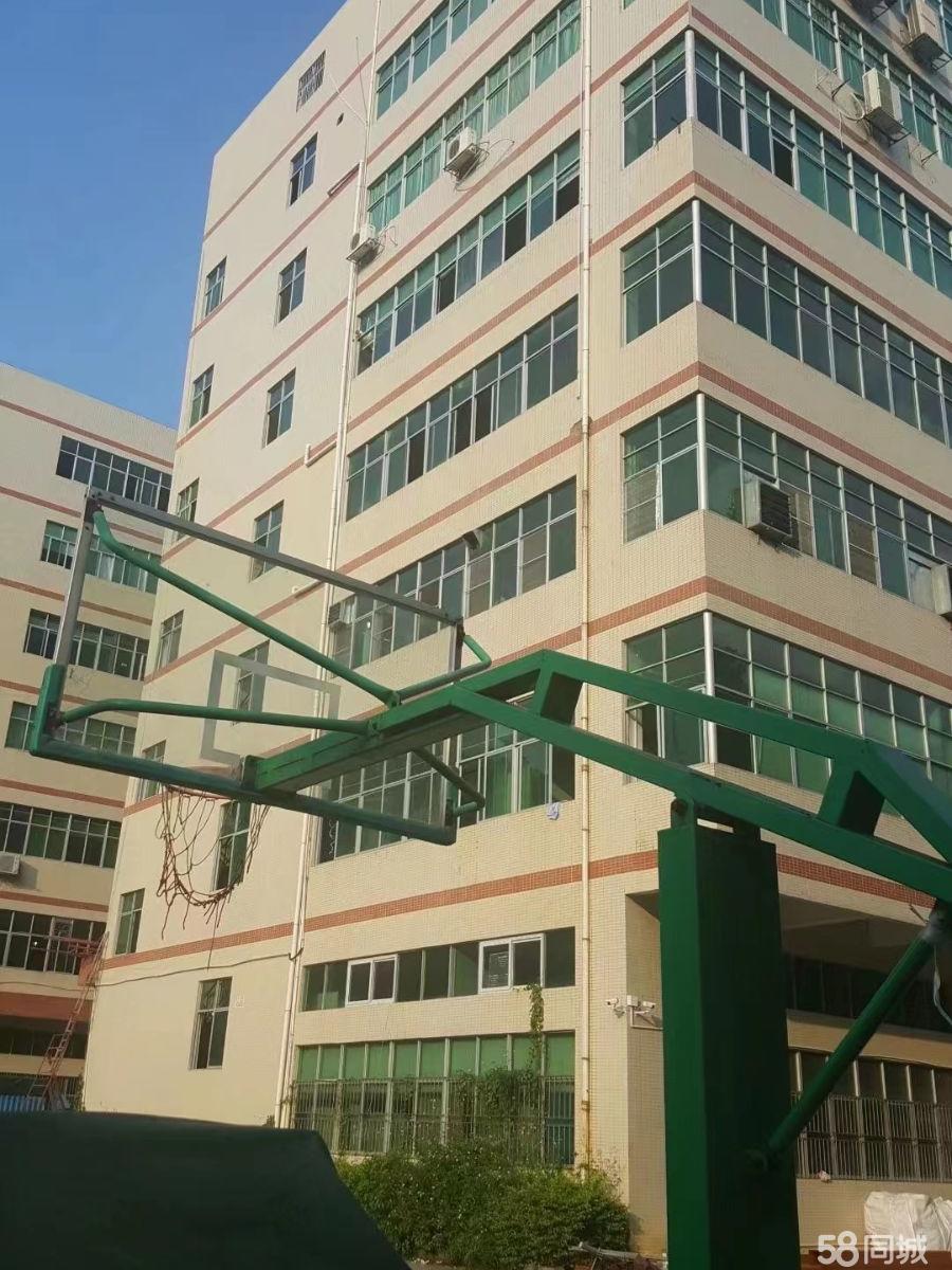 (出租) 出租厂房/光明一手厂房招租