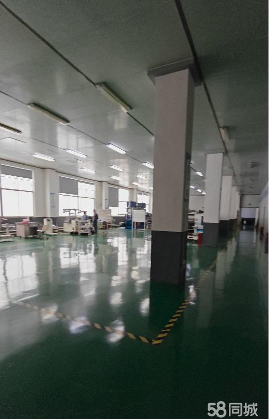 (出租) 出租光明一楼整租大型厂房