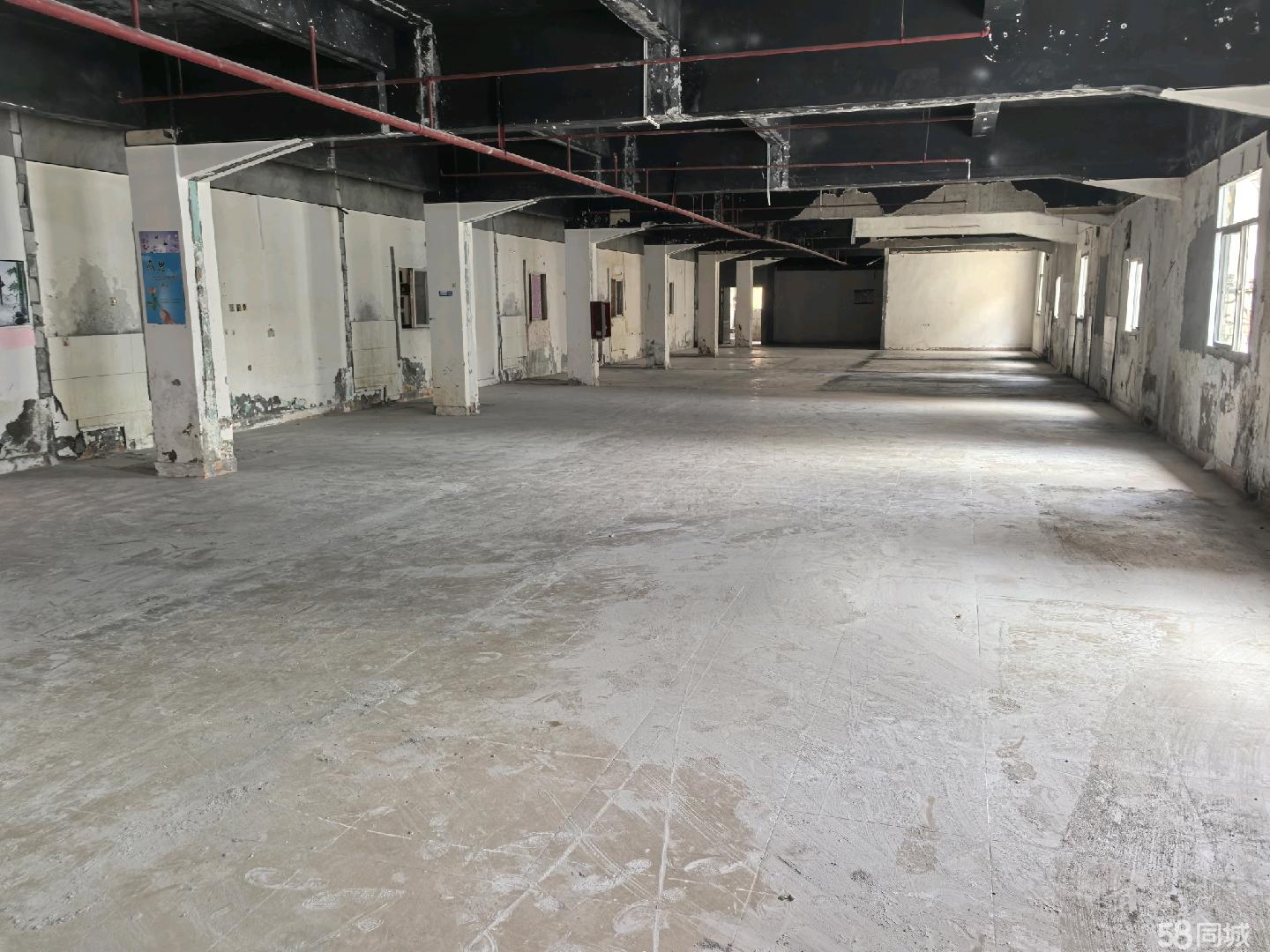 (出租) 个人出租凤凰街道东坑工厂办公室出租