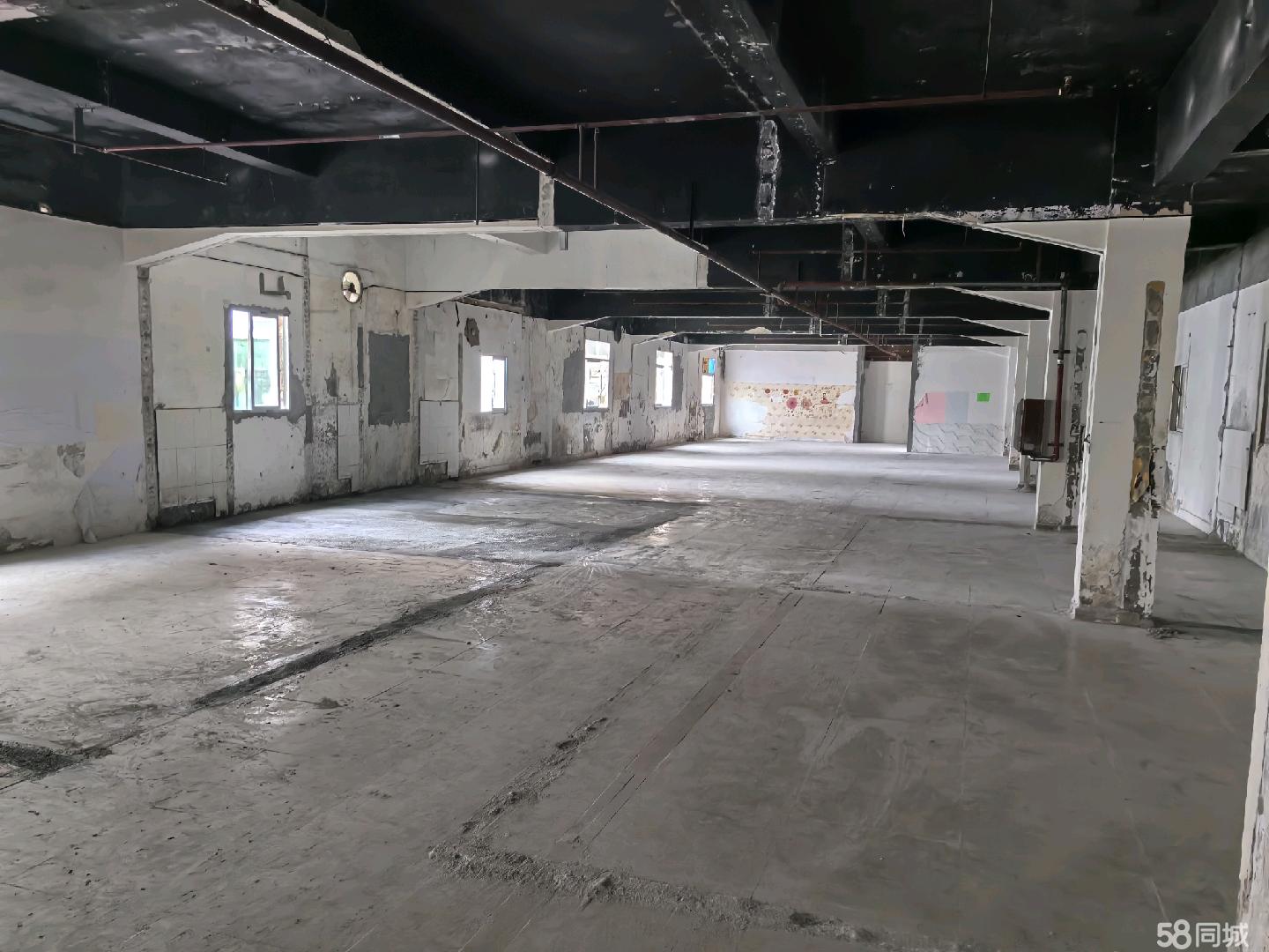 (出租) 个人出租凤凰街道东坑工厂办公室出租