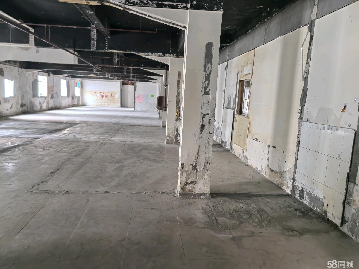 (出租) 个人出租凤凰街道东坑工厂办公室出租