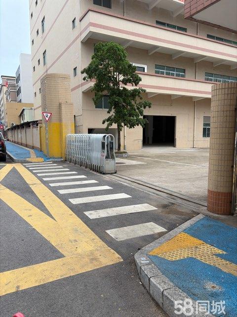 (出租) 仲恺惠环红本独门独院厂房出租 有天然气