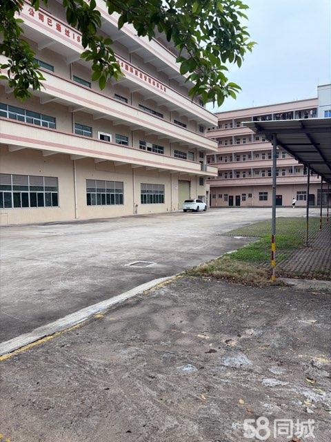(出租) 仲恺惠环红本独门独院厂房出租 有天然气