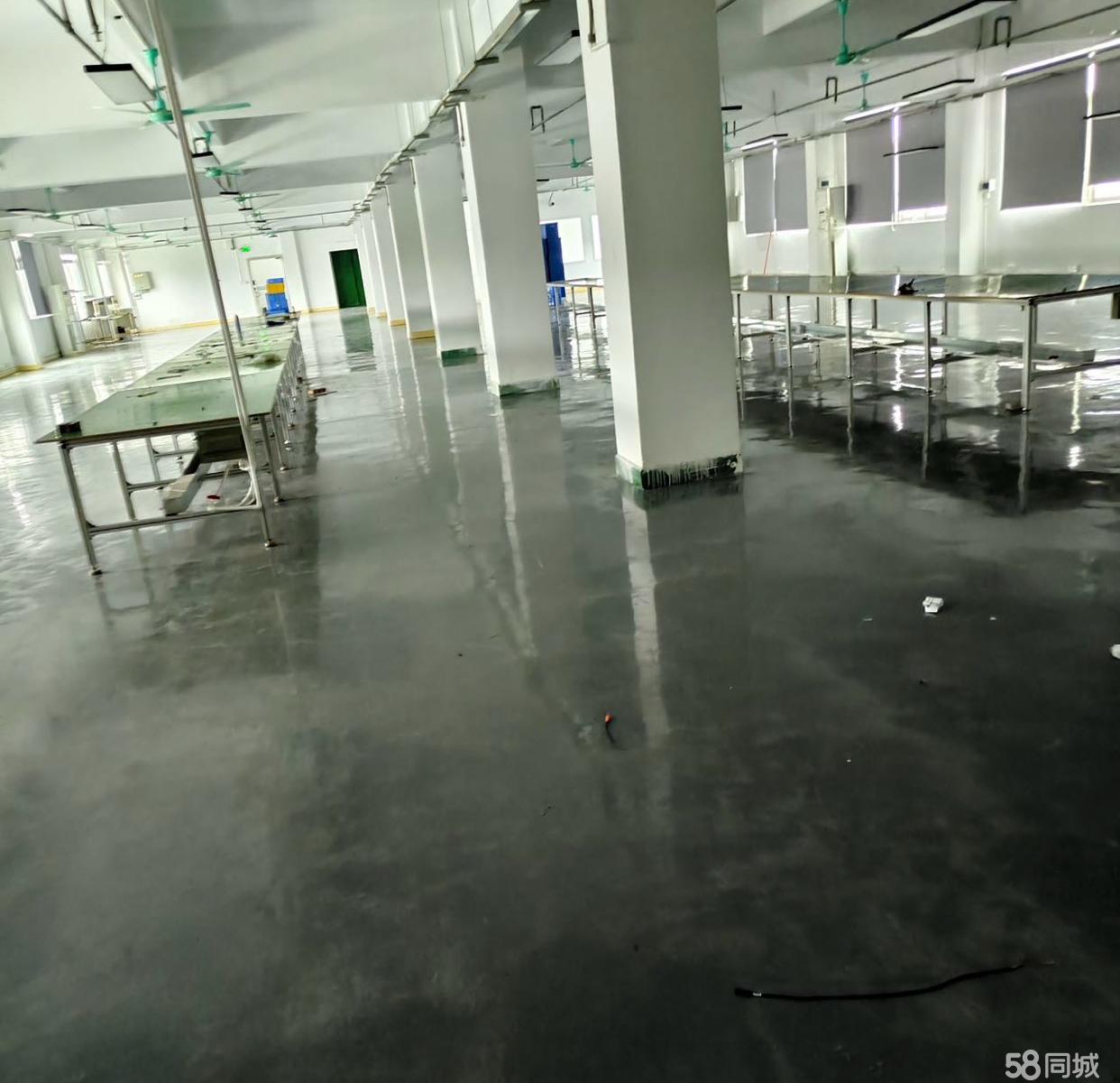(出租) 仲恺中心区域厂房，个人房东直租，无隐形费用