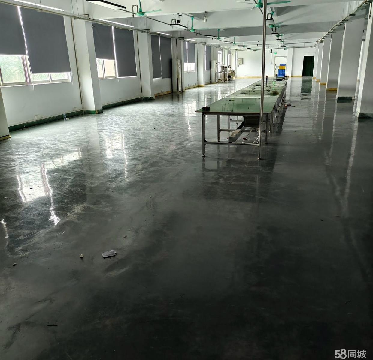 (出租) 仲恺中心区域厂房，个人房东直租，无隐形费用