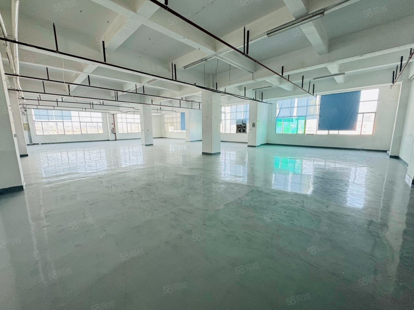 (出租) 性价比高!龙华带装修原房东红本工业园租厂房出租办公室仓库出租