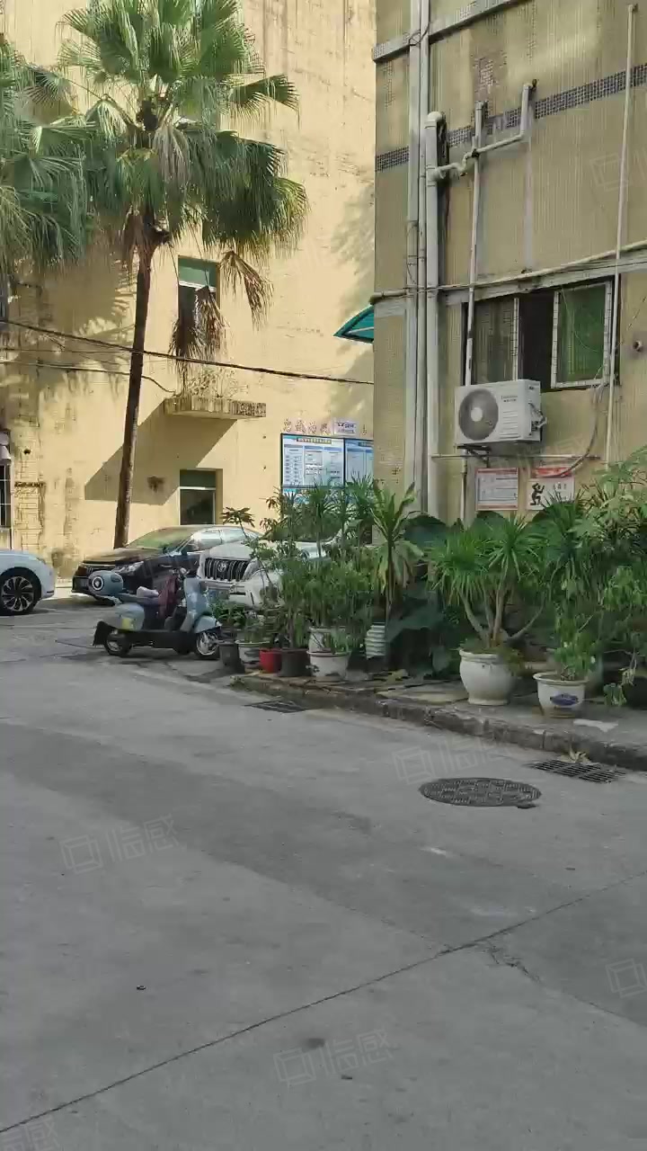 (出租) 龙华东吴创意园300平一楼仓办分隔1加1价格实惠